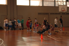 baskethon 2013