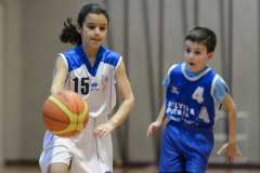 U10 - BBC Cossonay vs BBC Nyon Féminin - 10.01.2015